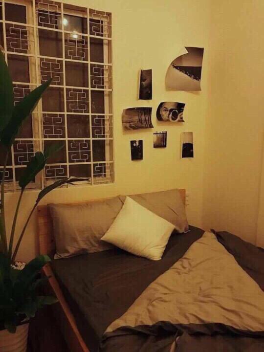 ホテルCosy House Da Lat 1 エクステリア 写真